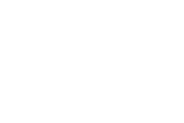 Hotel Boreal